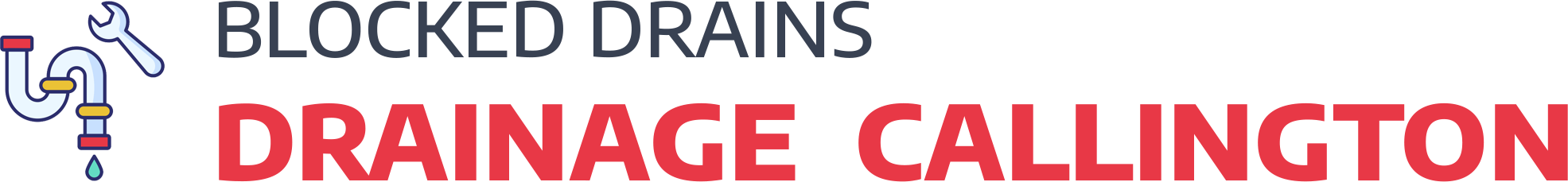website logo